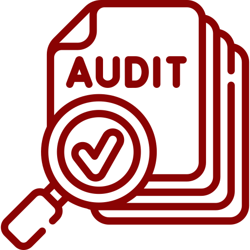 11CMMI Audits